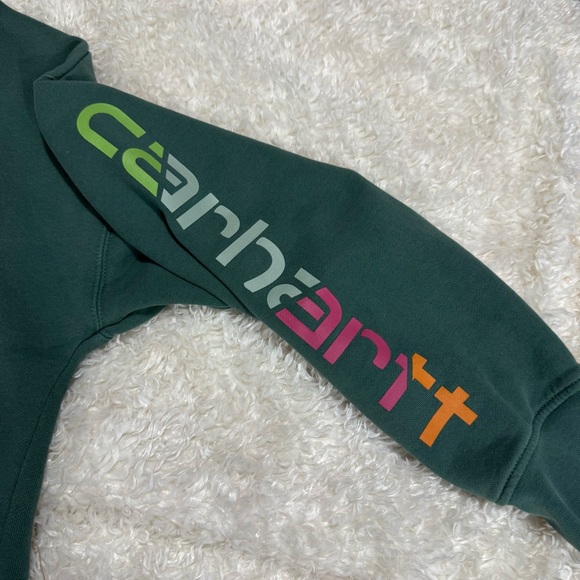 Carhartt Women's Tencel Fiber Series Loose Fit Sleeve Graphic Sweatshirt Balsam - Picture 5 of 11